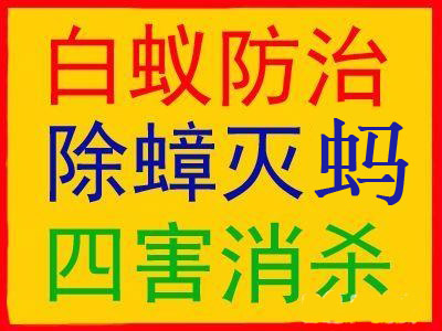 四害消杀
