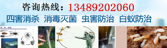 泉州灭鼠_泉州灭白蚁_泉州除蟑螂_泉州除四害_泉州四害消杀