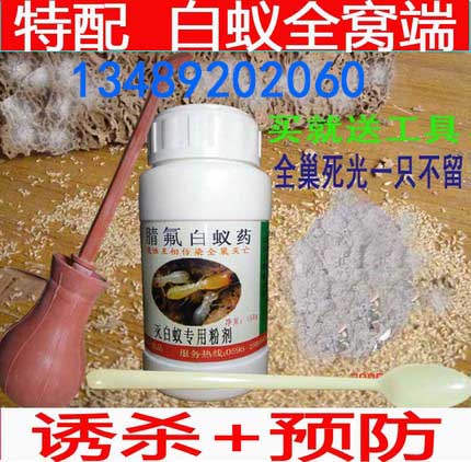 泉州惠安县白蚁药专业灭治白蚁上门