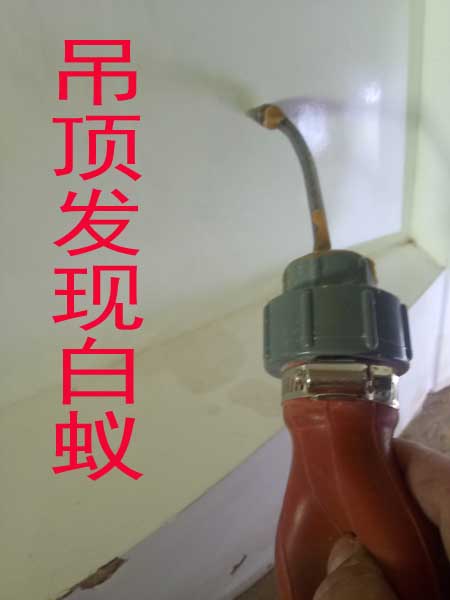 石狮袢芝套房框厨柜都 受到程度破坏