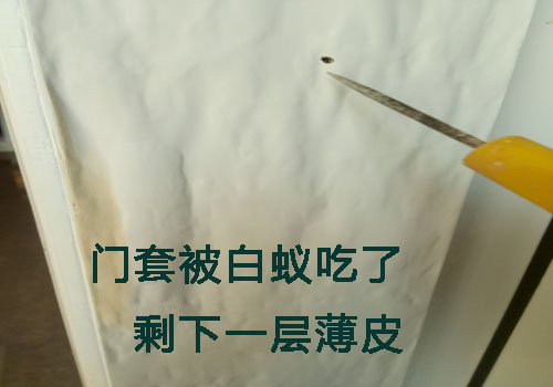 永春县上门灭白蚁多少钱预防欢迎来电  永春套房白蚁破坏实例
