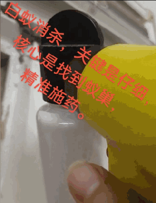 泉港界山镇区自建房除白蚁场景，大部份的木构遭白蚁侵蚀