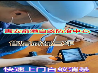 泉港城保白蚁防治深耕本地多年，全泉港辖区上门服务（山腰、前黄、后龙、峰尾、界山、南埔、涂岭全域接单），联系电话：19959582549，随叫随到，快速上门勘测蚁情