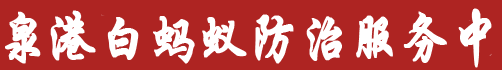 泉港区白蚂蚁防治【泉港白蚁防治服务中】惠安灭除白蚁中心.惠安专业白蚂蚁电话.虫消杀公司（泉港 山腰、后龙、南埔、涂岭、前黄、峰尾、界山镇专业上门灭白蚁治理电话号码）