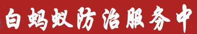 泉州泉港区白蚁防治电话：19959852549   惠安灭除白蚁中心.惠安专业白蚂蚁电话.虫消杀公司（泉港 山腰、后龙、南埔、涂岭、前黄、峰尾、界山镇专业上门灭白蚁治理电话号码）