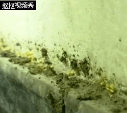 08249587bbf94e4a9d805ae22797a142.gif